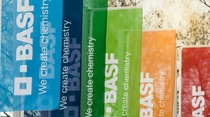 Gesellschaftshaus der BASF, Fahnen Gesellschaftshaus der BASF, Fahnen