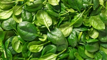 Spinach background full image. Top view; Shutterstock ID 570090283; purchase_order: 611232 ; job: MarCom France; client: Nunhems Netherlands BV ; other: Nunhems_EMontaghi
